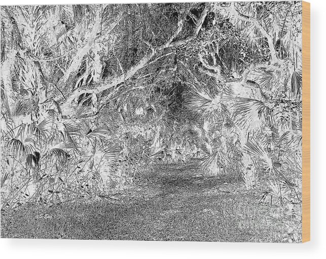 Landscape Wood Print featuring the drawing Old Florida Drawing 300 by Sharon Williams Eng