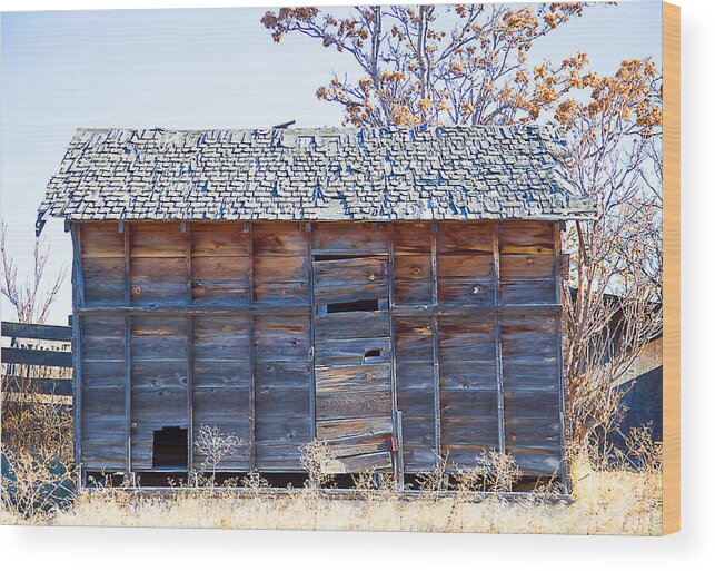 Wood Wood Print featuring the photograph Old small barn by Dart Humeston