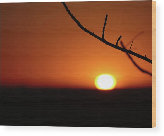 Sunset Wood Print featuring the photograph Outback Sunset 1 by Maryse Jansen