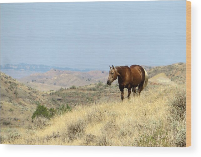 Palomino Wood Print featuring the photograph Palomino in the Badlands by Katie Keenan