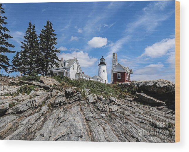 Lighthouse Wood Print featuring the photograph Pemaquid Point Lighthouse Maine by Veronica Batterson