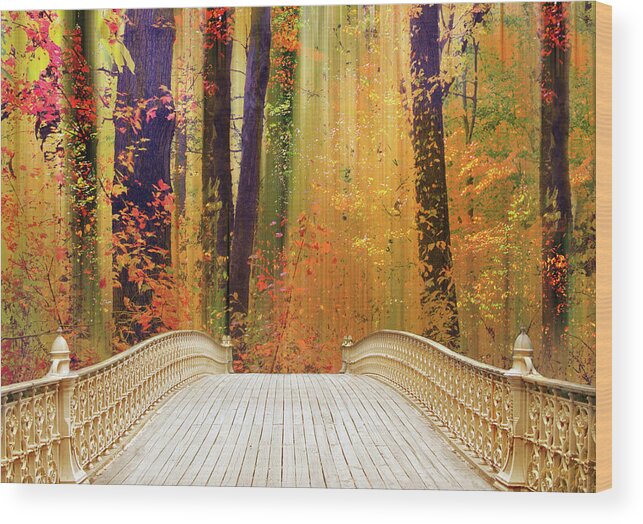 Footbridge Wood Print featuring the photograph Pine Bank Splendor by Jessica Jenney