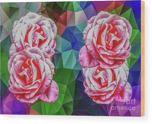 Digital Art Wood Print featuring the photograph Pink Roses by Pics By Tony