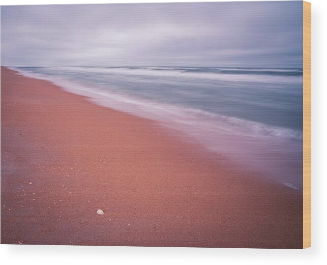 Atlantic Wood Print featuring the photograph Pink Sands of Ormond Beach by Kyle Lee