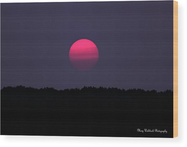 Sunset Wood Print featuring the photograph Red Sun Sunset by Mary Walchuck