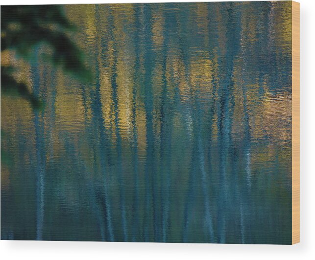 Schwarzwald Wood Print featuring the photograph Reflections of wood and light by Ioannis Konstas