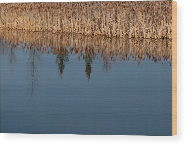 Reflections Wood Print featuring the photograph Reflections On A Wetland Lake by Karen Rispin