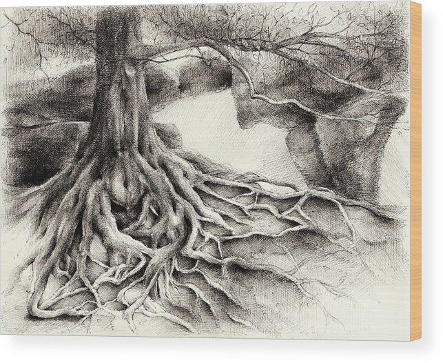 Elbe Sandstone Mountains Wood Print featuring the drawing Root and sandstone by Adriana Mueller