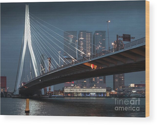 Rotterdam Wood Print featuring the photograph Rotterdam City Skyline II by Philip Preston