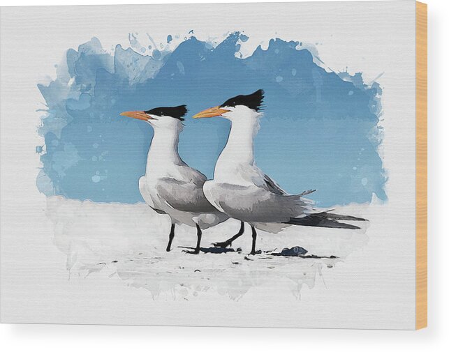 Shore Birds Wood Print featuring the digital art Royal Terns by Gordon Ripley