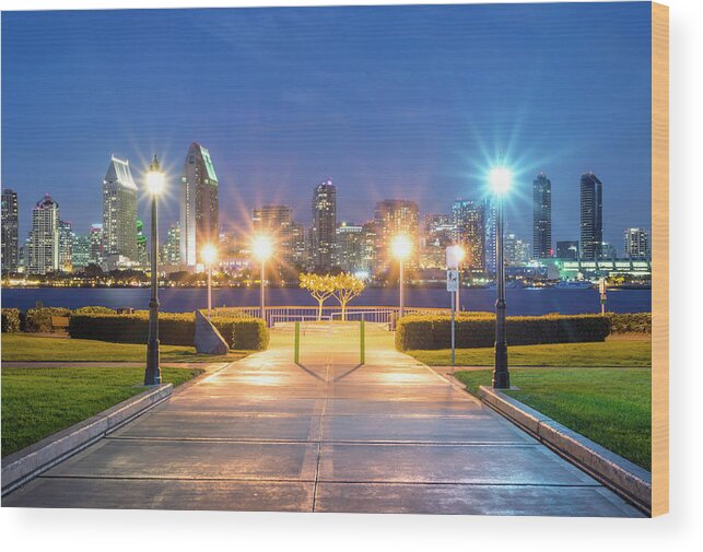 San Diego Wood Print featuring the photograph San Diego Skyline From Centennial Park by Joseph S Giacalone