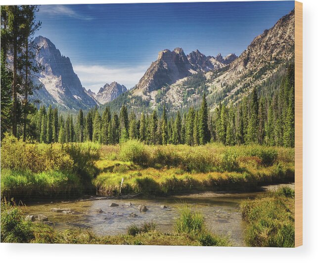 Mountain Wood Print featuring the photograph Sawtooth Mountain Meadow by Dan Eskelson