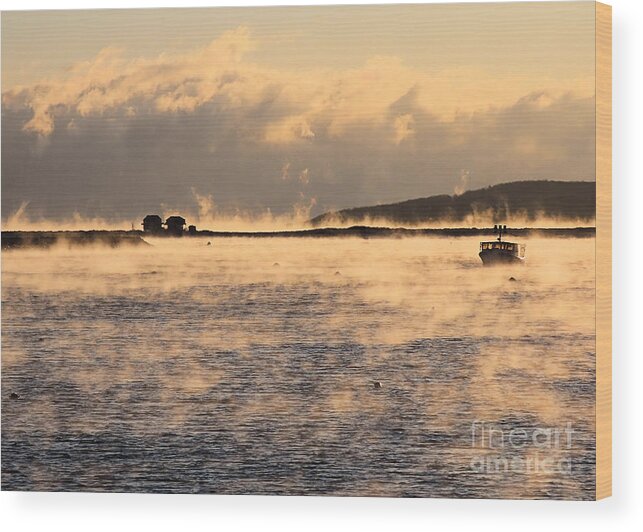 Sea Smoke Wood Print featuring the photograph Sea smoke 2023 February by Janice Drew