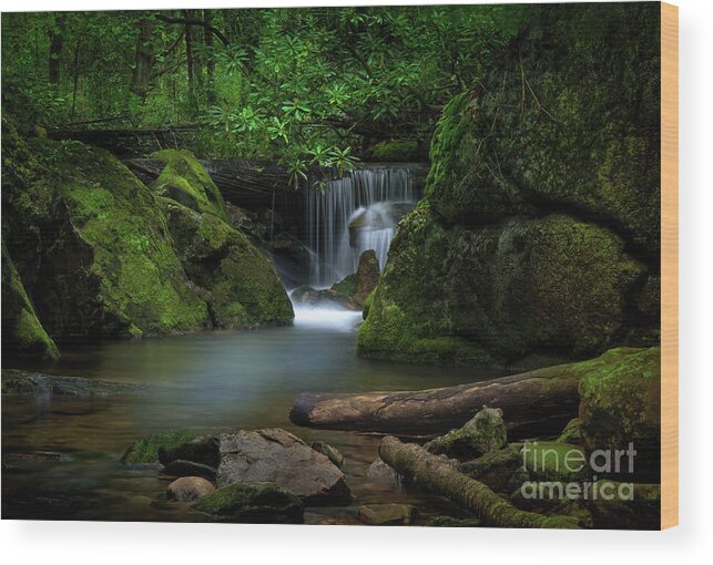 Waterfall Wood Print featuring the photograph Secluded Waterfall by Shelia Hunt