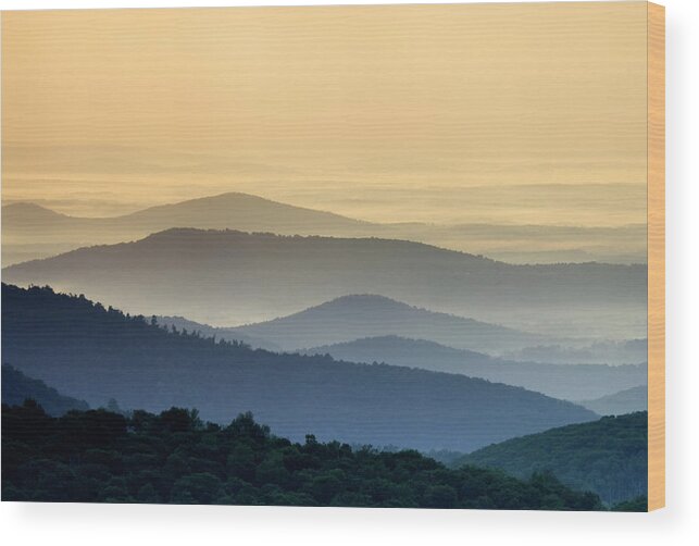 Shenandoah National Park Wood Print featuring the photograph Shenandoah National Park Mountain Scene by Brendan Reals