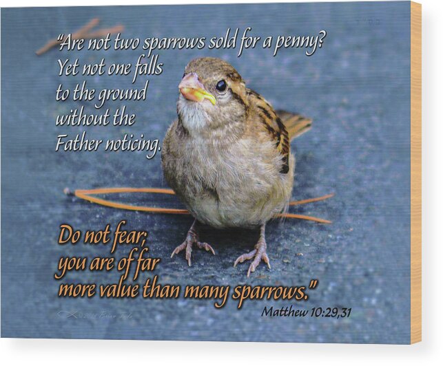  Wood Print featuring the mixed media Sparrow Scripture Matthew 10 by Brian Tada