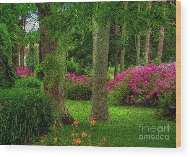 Flower Wood Print featuring the photograph Spring Gardens by Shelia Hunt