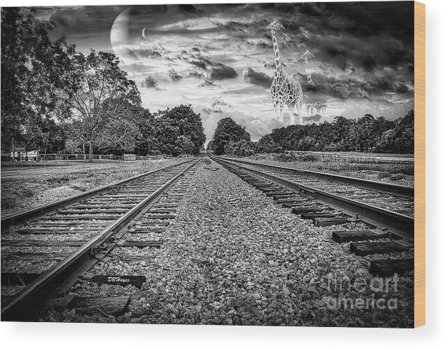 Black & Whites Wood Print featuring the photograph Strange World In Black And White by DB Hayes