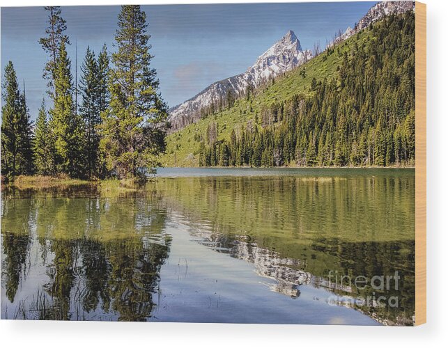 Clear Blue Sky Wood Print featuring the photograph String Lake 2 by Al Andersen