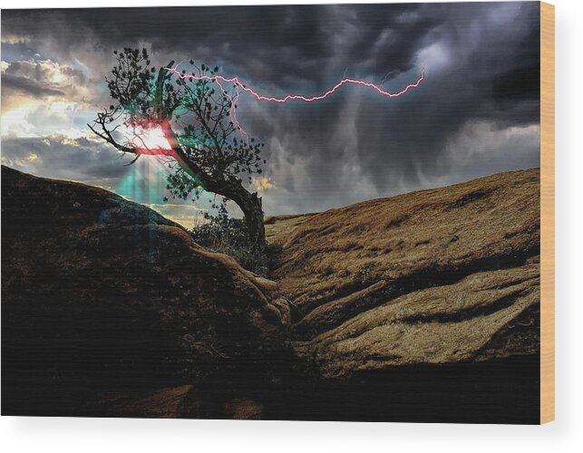 Tree Wood Print featuring the photograph Struck by Lightning by Harry Spitz