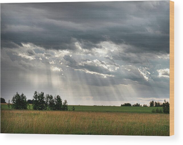 Sun Wood Print featuring the photograph Sun rays over a field by Karen Rispin