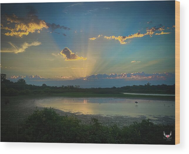 Sunburst Wood Print featuring the photograph Sunburst at Dawn by Pam Rendall