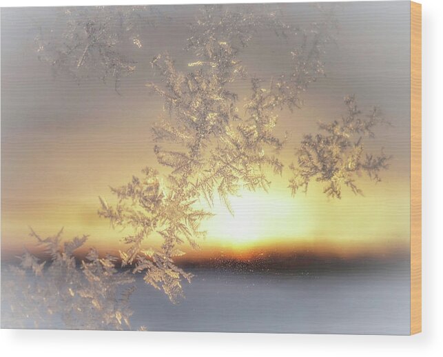 Sunrise Wood Print featuring the photograph Sunrise and Frost by Susan Hope Finley
