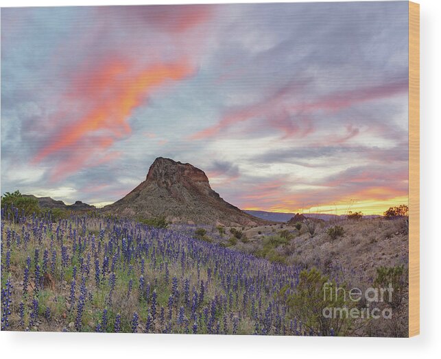 Big Bend Wood Print featuring the photograph Sunset above Cerro Castellan by Cathy Alba