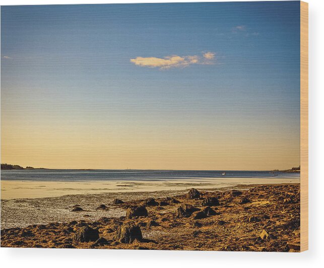 Acadia Wood Print featuring the photograph Sunset - Acadia National Park by Amelia Pearn