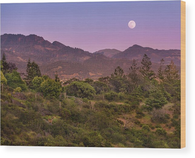 Super Flower Moon Wood Print featuring the photograph Super Flower Moon by Shelby Erickson