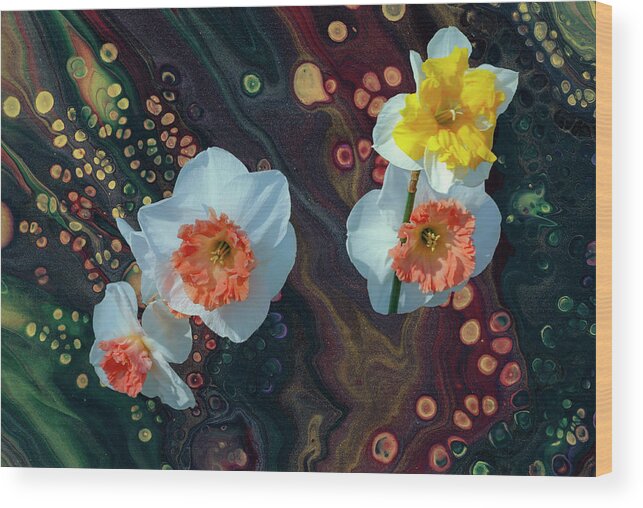 Surreal Wood Print featuring the photograph Surreal Daffodils by Cate Franklyn