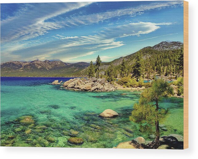 Tahoe Wood Print featuring the photograph Tahoe Pine by Russ Harris