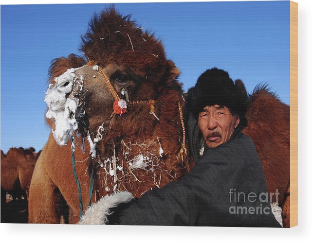 The Camel Has An Owner Wood Print featuring the photograph The camel has an owner by Elbegzaya Lkhagvasuren