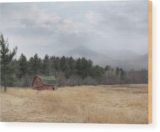 Barn Wood Print featuring the photograph The Last Stand by Lori Deiter