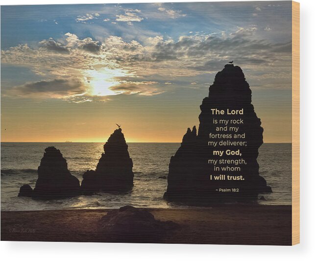Scripture Wood Print featuring the photograph The Lord Is My Rock by Brian Tada