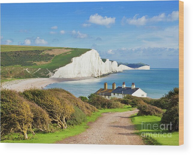 Seven Sisters Cliffs Wood Print featuring the photograph The Seven Sisters cliffs and coastguard cottages, South Downs, East Sussex, England by Neale And Judith Clark