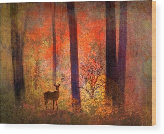 Fantasy Wood Print featuring the photograph The Visitor by Jessica Jenney