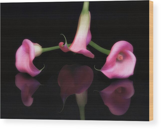 Cala Wood Print featuring the photograph Triple Cala Lillies by Susan Candelario