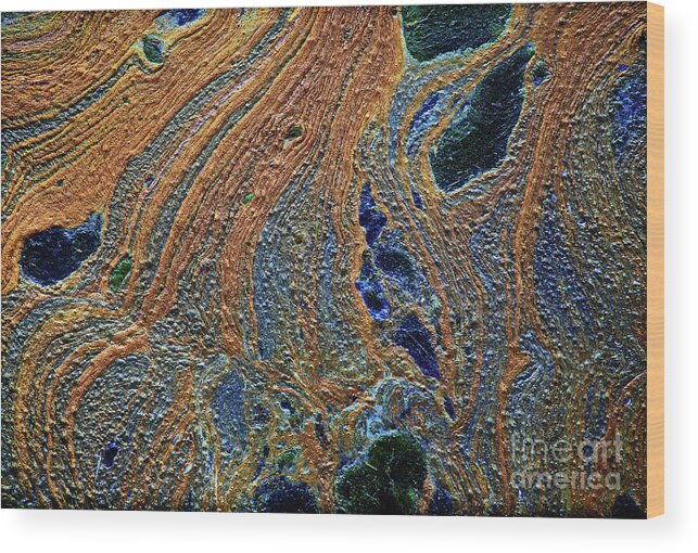 Abstract Wood Print featuring the photograph Untitled by David Little-Smith