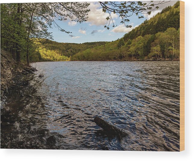 Rivers Wood Print featuring the photograph Upper Delaware River Mongaup by Amelia Pearn