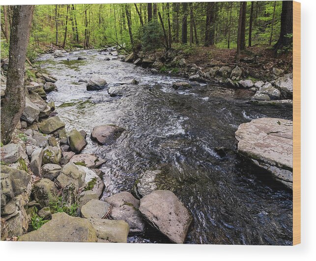 Catskills Wood Print featuring the photograph Upstate New York - Ten Mile River Narrowsburg by Amelia Pearn