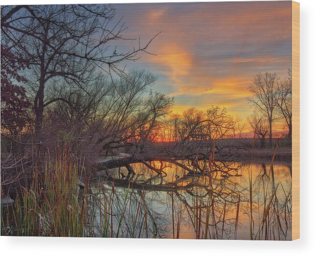 Viking Wood Print featuring the photograph Viking Reflections - autumn sunset at fallen tree on Yahara River at Stoughton WI by Peter Herman