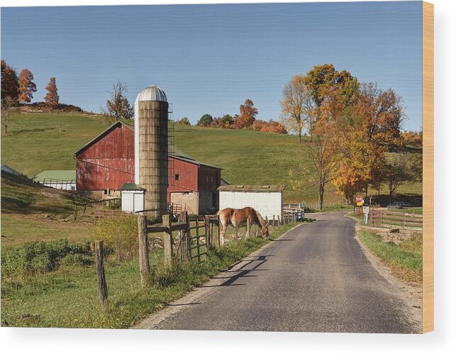 Fall Wood Print featuring the photograph Walnut Creek Farm by Ann Bridges