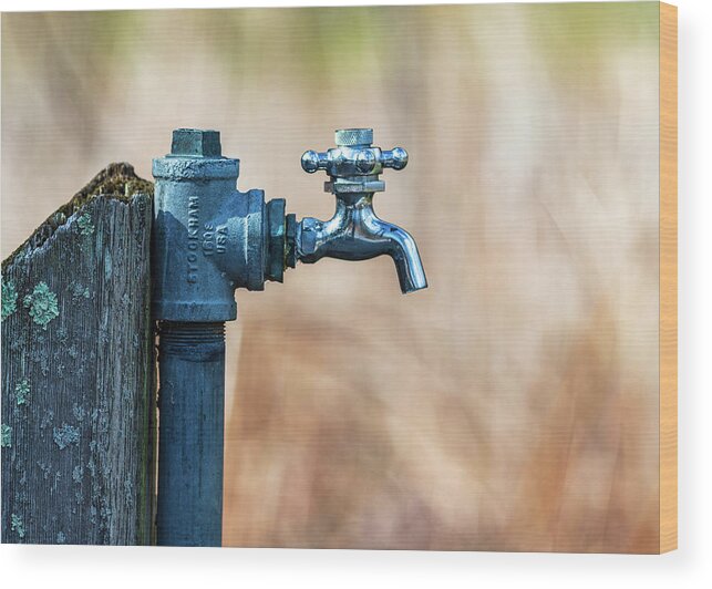 Water Fountain Wood Print featuring the photograph Autumn Water Spigot by Amelia Pearn