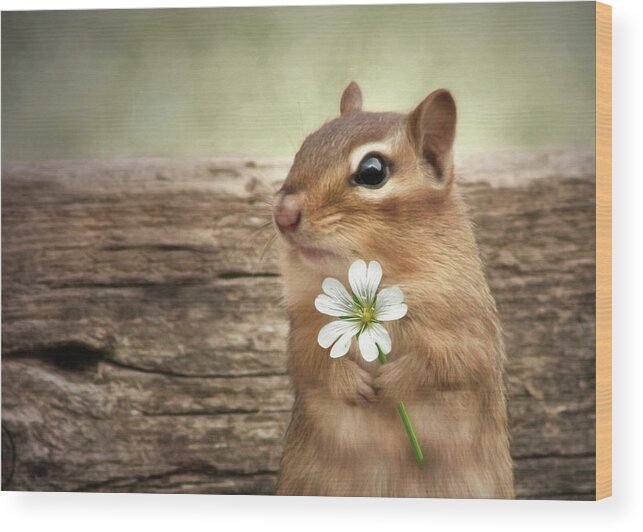 Chipmunk Wood Print featuring the mixed media Welcome Spring by Lori Deiter