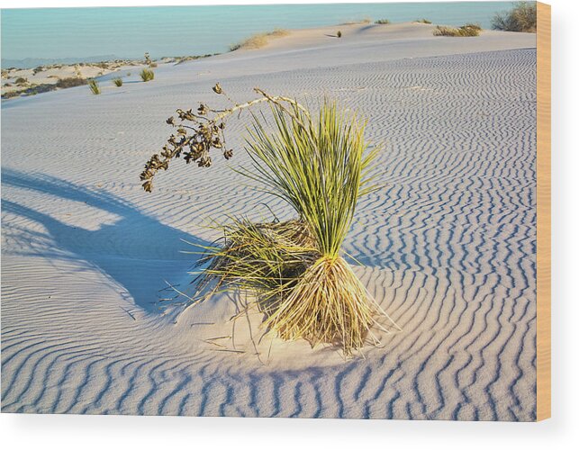 National Parks And Monuments Wood Print featuring the photograph White Sands National Monument, New Mexico by Segura Shaw Photography