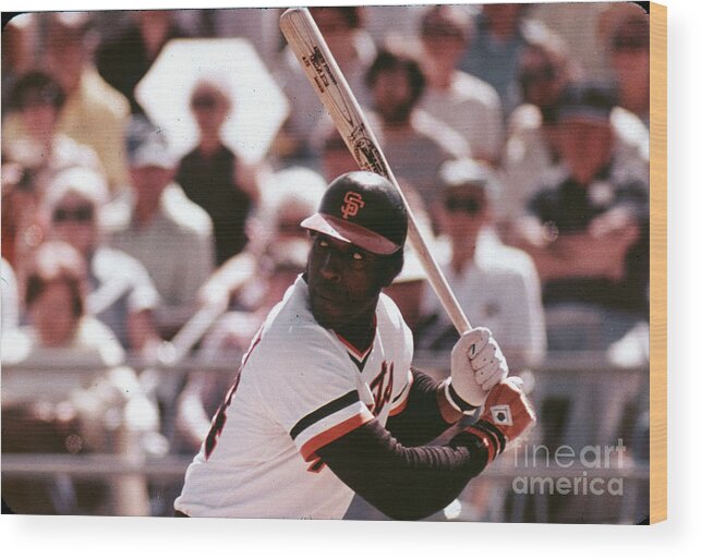 Candlestick Park Wood Print featuring the photograph Willie Mccovey by Mlb Photos