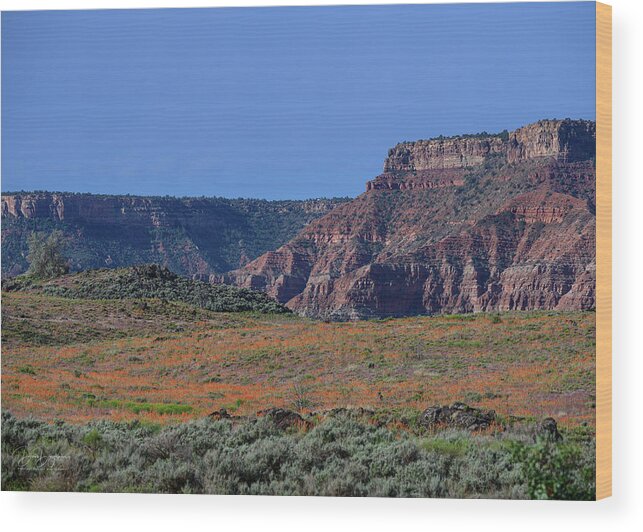 Zion Wood Print featuring the photograph Super Bloom Zion National Park by Dave Diegelman