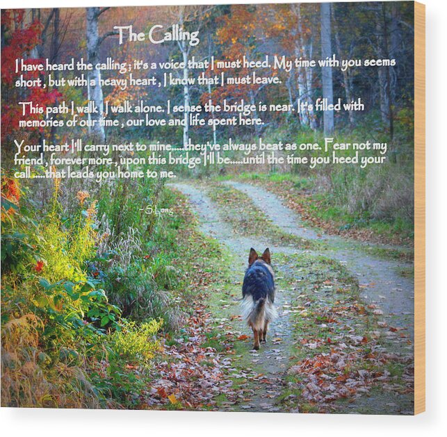 Quotes Wood Print featuring the photograph Paw Prints The Calling by Sue Long