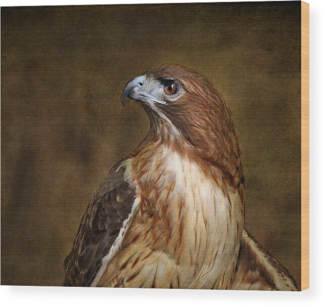 Hawks Wood Print featuring the photograph Pepe With Texture by Pat Abbott